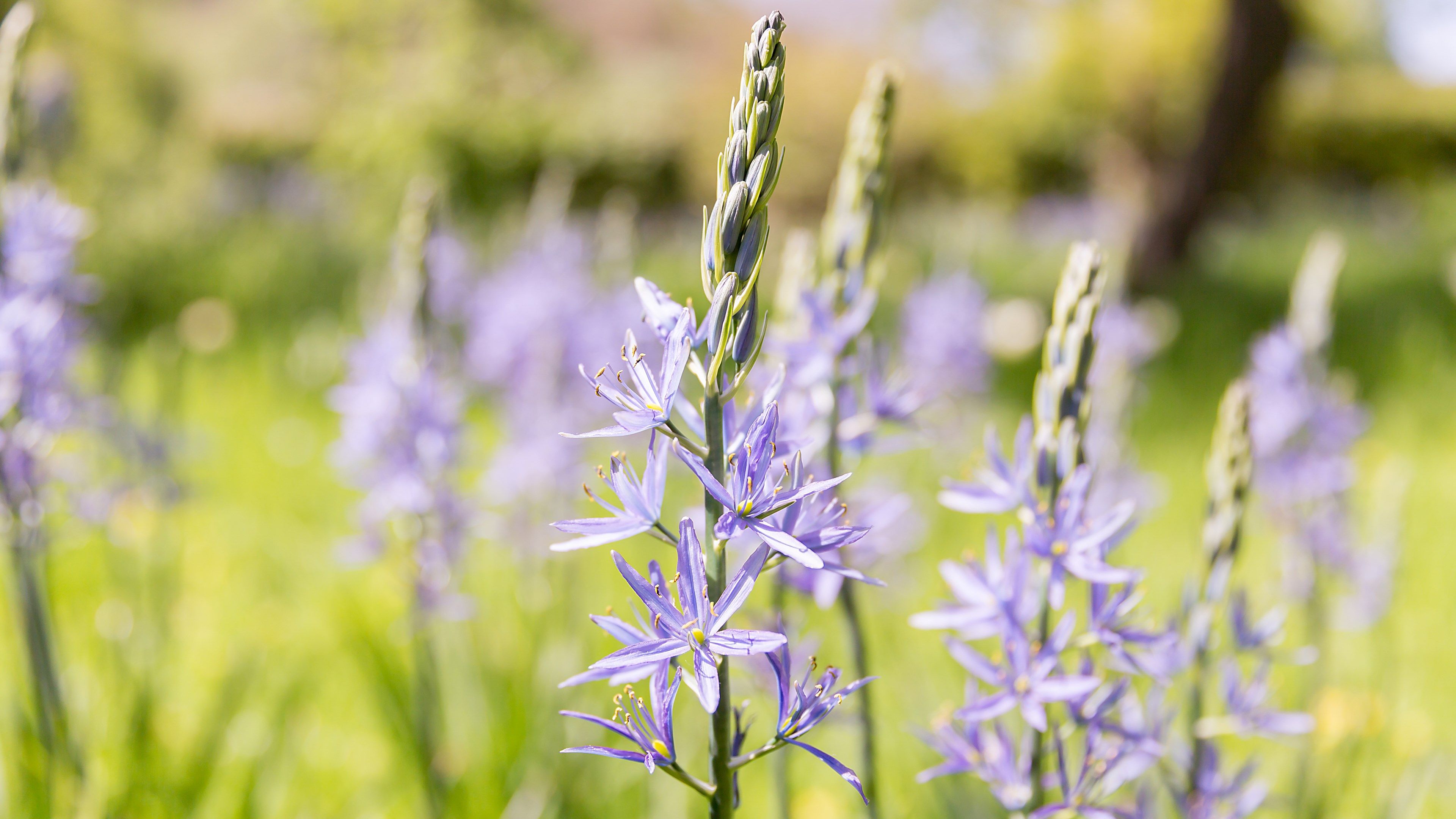 A Breath of Fresh Air