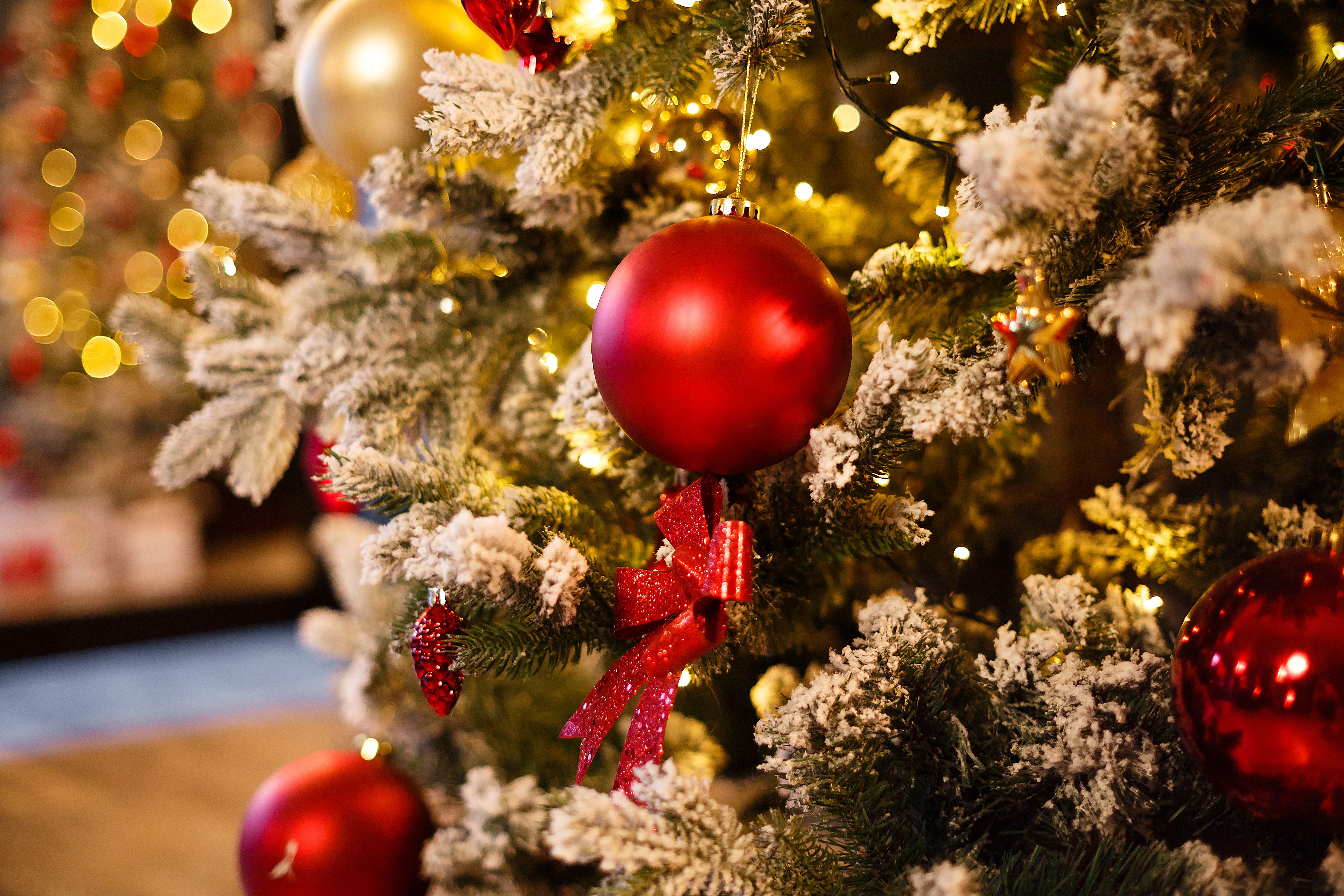 Belfast Festive Break