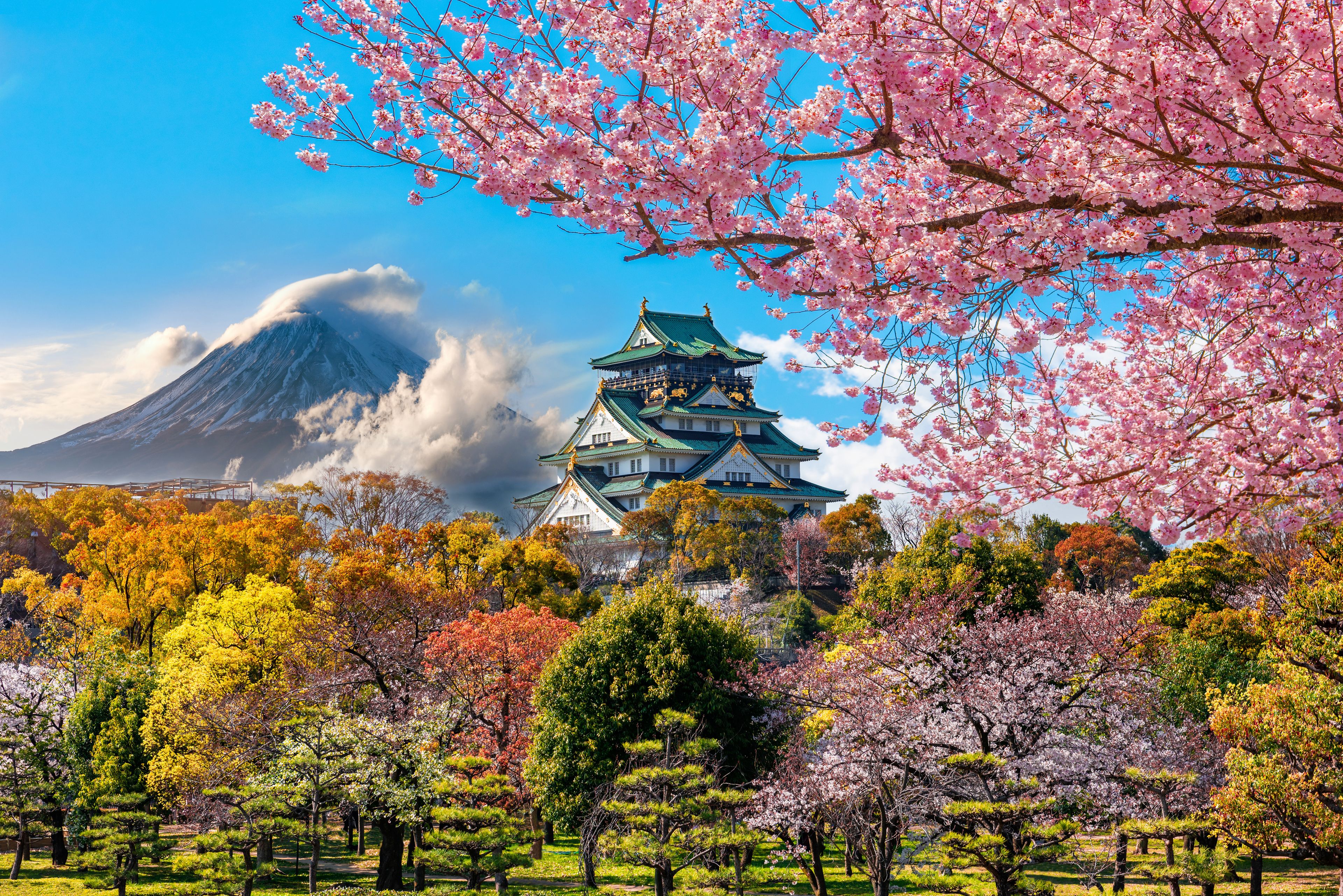 Seasonal Gardens of Japan