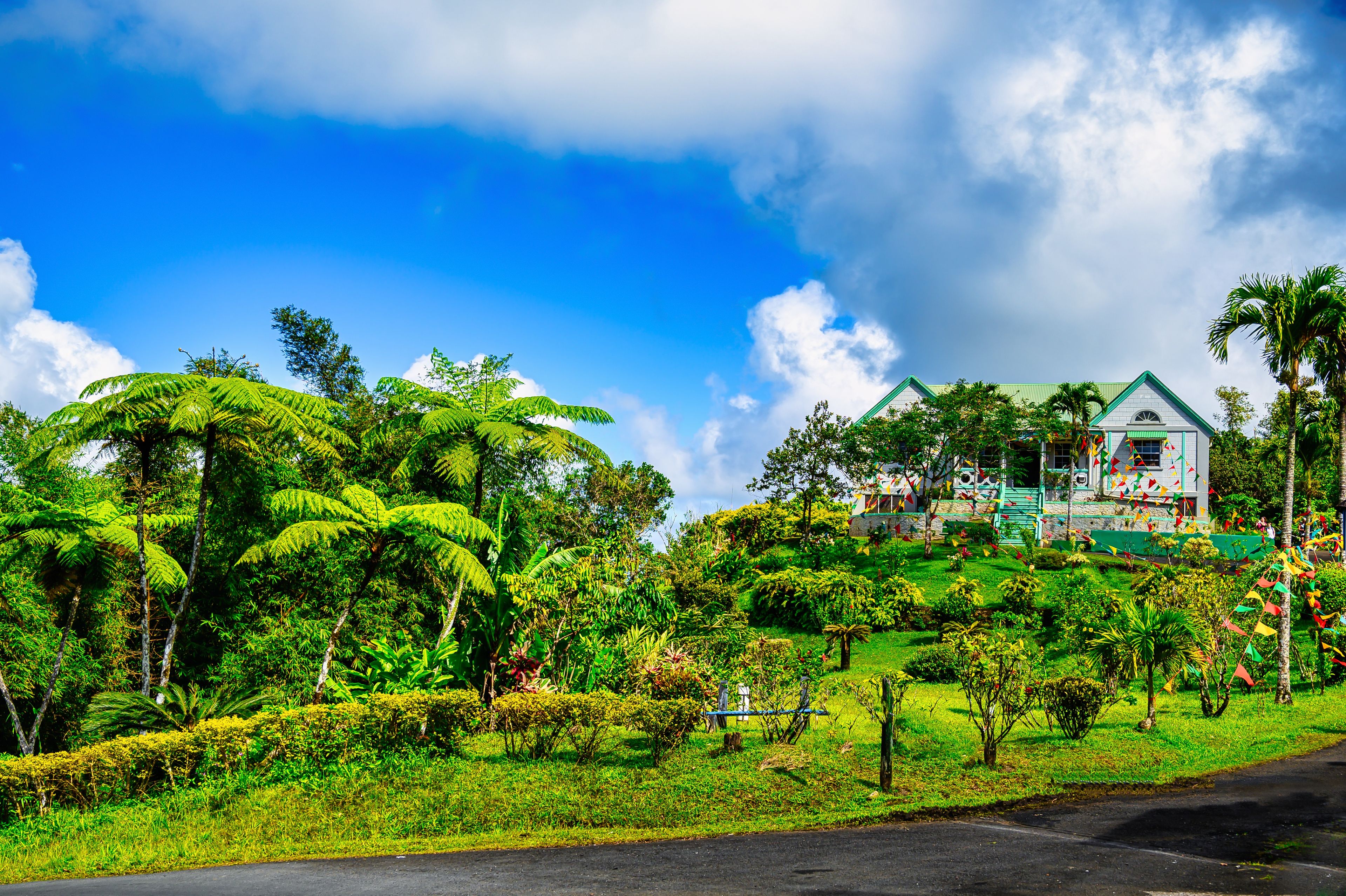 Grenada Flower Festival