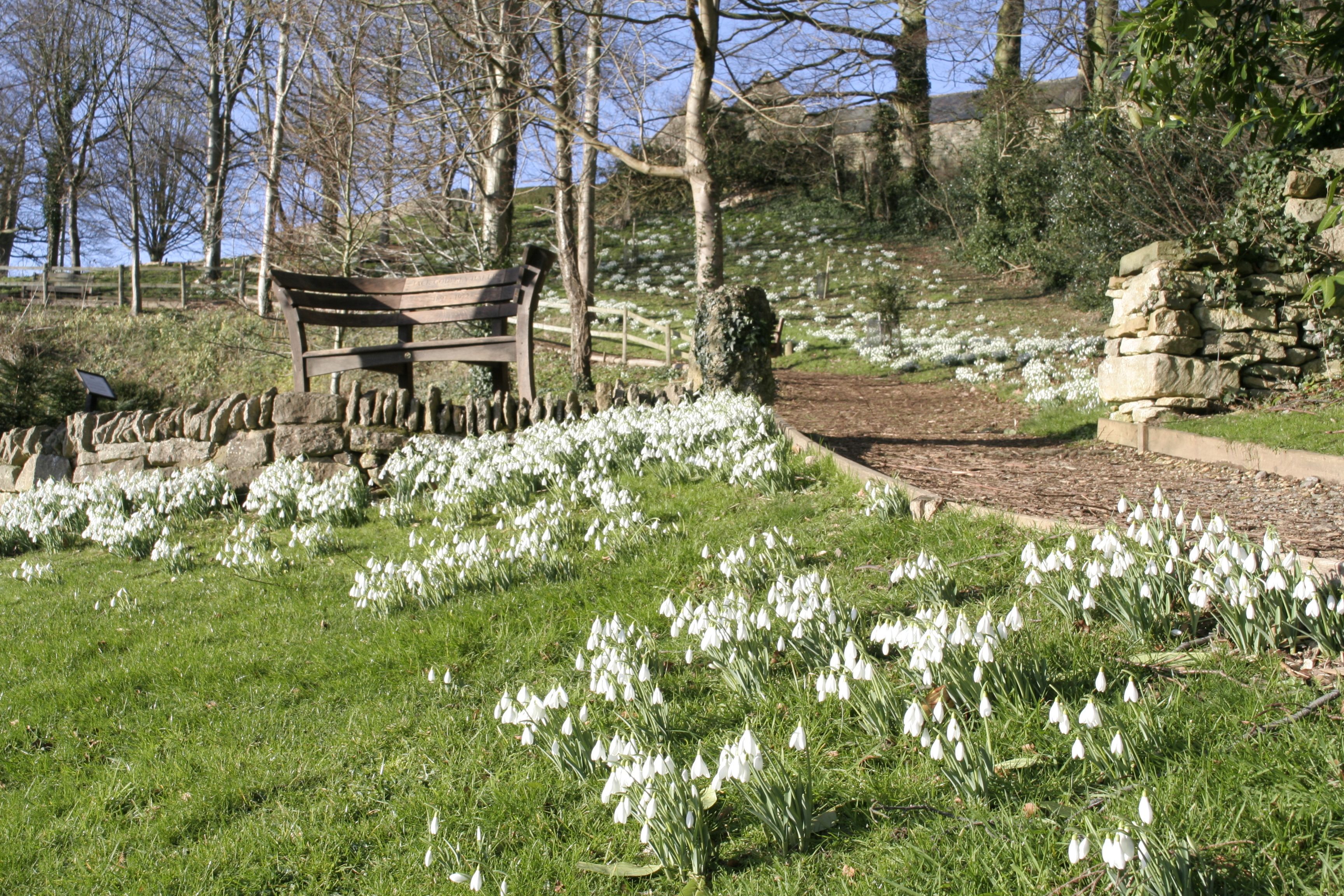 England: Snowdrop Gardens of the Cotswolds